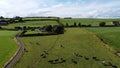 A herd on a pasture in Ireland, top view. Organic Irish farm. Cattle grazing on a grass field, landscape. Animal husbandry. Green Royalty Free Stock Photo