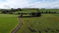 A herd on a pasture, top view. Organic Irish farm. Cattle grazing on a grass field, landscape. Animal husbandry. Green grass field Royalty Free Stock Photo