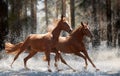 Two red horses running through the woods Royalty Free Stock Photo
