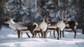 A herd of reindeer standing on top of a snow covered field. Generative AI image.