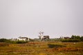 Herd of reindeer on Swedish tundra Royalty Free Stock Photo