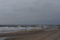 A herd of seagulls on the sand beach of Baltic Sea in north of Poland in winter