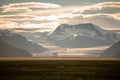 A herd of sheep in a field and Vatnajokull glacier in background ,Iceland Summer. Royalty Free Stock Photo