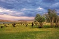 A herd of sheep and goats grazing near the lake at the foot of t Royalty Free Stock Photo