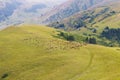 A herd of sheep grazes high in the mountains. Agriculture. Pasture in the mountains, jailoo. Kyrgyzstan Royalty Free Stock Photo