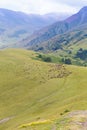 A herd of sheep grazes high in the mountains. Agriculture. Pasture in the mountains, jailoo. Kyrgyzstan Royalty Free Stock Photo
