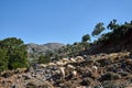 A herd of sheep grazing in a mountain meadow in the Lefka Ori mountains on the island of Crete