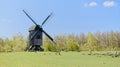 Herd of sheep grazing on the pasture near an old windmill with green trees in the background Royalty Free Stock Photo