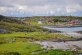 Herd of sheep in green valley of Lovund island surrounded by coastline of sea Royalty Free Stock Photo