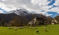 Herd of sheep in the meadow, barn at background, Pyrenees Royalty Free Stock Photo