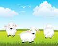 Herd sheep on year green field landscape