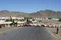 Herd of sheeps in Mongolia Royalty Free Stock Photo