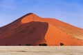 Herd of Springbok passing in front of a red dune in Sossusvlei, Namibia