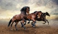 A herd of three horses jumps Royalty Free Stock Photo