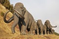 Herd of walking mammoths