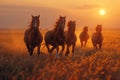 Herd of wild horses galloping in golden field at sunset, with dramatic lighting and dust Royalty Free Stock Photo