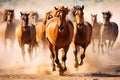 Herd of wild horses galloping at sunset. Royalty Free Stock Photo