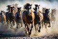 Herd of wild horses galloping at sunset. Royalty Free Stock Photo