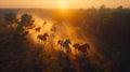 Herd of wild horses running gallop in dust at sunset time. A herd of horses running through a field on a Mexican Ranch Royalty Free Stock Photo