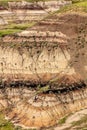 a herd of wild horses standing on top of a hillside Royalty Free Stock Photo