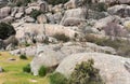 A herd of wild mountain goats walk through a beautiful landscape of huge rocks Royalty Free Stock Photo