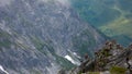 Herd of young alpine ibex mountain goats on a jagged rocky mountain peak in the Swiss Alps Royalty Free Stock Photo