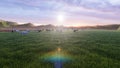 A herd of young horses graze on a picturesque green meadow on a beautiful summer morning. 3D Rendering Royalty Free Stock Photo