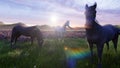 A herd of young horses graze on a picturesque green meadow on a beautiful summer morning. 3D Rendering Royalty Free Stock Photo