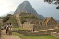 A herd of Llama`s at Machu Picchu