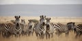 A herd of zebras grazing on the savanna, concept of Animal behavior, created with Generative AI technology
