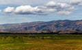 Herds of cows and sheep grazing on a farm with the backdrop of the Southern Alps, in Wanaka, Otago, South Island, New Zealand Royalty Free Stock Photo