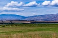 Herds of cows and sheep grazing on a farm with the backdrop of the Southern Alps, in Wanaka, Otago, South Island, New Zealand Royalty Free Stock Photo