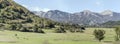 Herds in flat upland of Sangro river valley, near Pescasseroli, Abruzzo, Italy