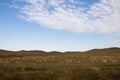 Herds on the prairie