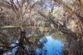 Herdsman Lake Landscape Royalty Free Stock Photo