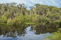 Herdsman Lake in Perth Royalty Free Stock Photo