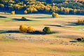 The herdsman and sheep on the fall prairie Royalty Free Stock Photo