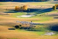 The herdsman and sheep on the prairie Royalty Free Stock Photo