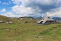 Herdsmens huts and cows on the Big Mountain Plateau in Slovenia in the Kamnik