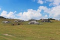 Herdsmens huts and cows on the Big Mountain Plateau in Slovenia in the Kamnik