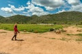 Herdswoman with a group of pigs, Otavi, Namibia Royalty Free Stock Photo