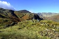 Herdwick Sheep on the fells