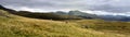 Herdwick sheep and teh Scafells Royalty Free Stock Photo