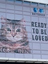 Battersea Dogs & Cats Home, now known as Battersea, is an animal rescue centre for dogs and cats.