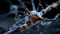 Here is a detailed closeup image of a nerve cell located in the brain Royalty Free Stock Photo