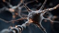 Here is a detailed closeup image of a nerve cell located in the brain Royalty Free Stock Photo