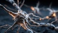 Here is a detailed closeup image of a nerve cell located in the brain Royalty Free Stock Photo