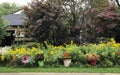 Suburban Front Curbside Garden Royalty Free Stock Photo