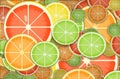 Here is an illustration showing citrus fruit slices isolated on a blue background Royalty Free Stock Photo