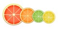 Here is an illustration showing citrus fruit slices isolated on a blue background Royalty Free Stock Photo